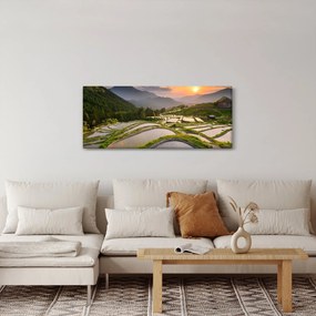 Obraz - Ryžové terasy (120x50 cm)