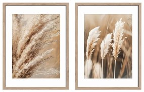 Obrazy v súprave 2 ks 30x40 cm Selloana – Styler