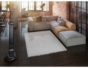 Svetlosivý vonkajší koberec z recyklovaného plastu Universal Liso, 140 x 200 cm