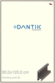 DANTIK rám na obraz 80x120 | ALU Hnědá tmavá (Plexi Čiré)