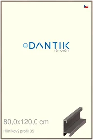 DANTIK rám na obraz 80x120 | ALU Hnědá tmavá (Plexi Čiré)