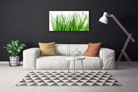 Obraz na plátne Tráva 120x60 cm