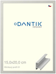 DANTIK rám na obraz 15x20 | ALU Stříbrná matná (Sklo Čiré)