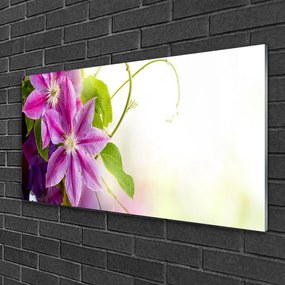 Skleneny obraz Kvety príroda 125x50 cm