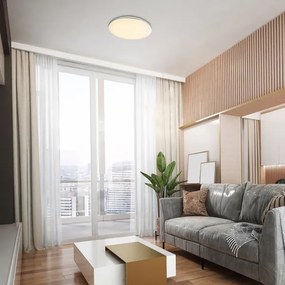 Rabalux 71053 - LED Stropné svietidlo OSWALD LED/24W/230V 4000K pr. 40 cm