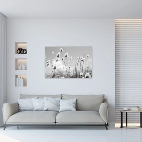Obraz - Boho bunny tail grass (90x60 cm)
