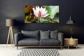 Obraz plexi Kvet rastlina príroda 120x60 cm