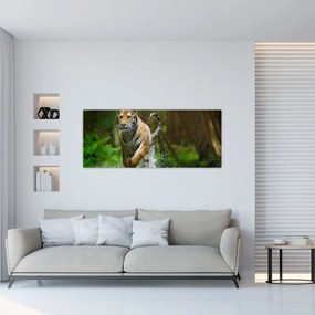 Obraz bežiaceho tigra (120x50 cm)