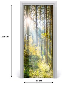 Fototapeta na dvere slnka v lese 85x205 cm