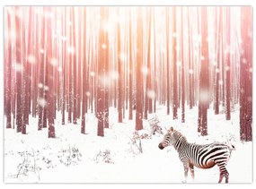 Sklenený obraz - Zebra v zasneženom lese (70x50 cm)