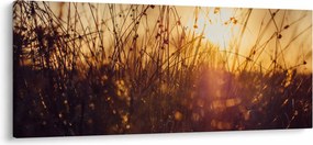 Obraz poľa pri západe slnka (120x50 cm)