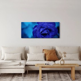 Obraz modrej ruže (120x50 cm)