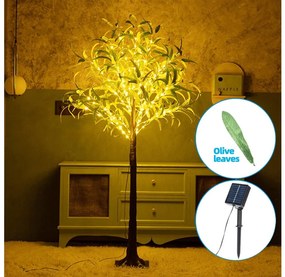 Aigostar B.V. Aigostar - LED Solárna dekorácia 30xLED/2,6m IP65 teplá biela olive AI1637