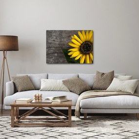 Obraz - Kvet slnečnice (70x50 cm)