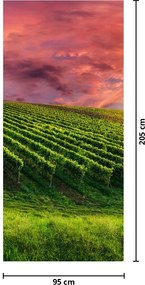 Fototapeta na dvere - Vinohrad s farebným nebom (95x205cm)