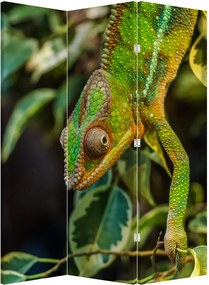 Paraván - Chameleon (126x170 cm)
