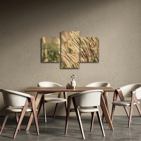 Obraz - Obilie (90x60 cm)