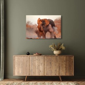 Obraz - Veľký slon africký (90x60 cm)
