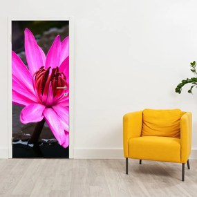 Fototapeta na dvere - Ružový kvet (95x205cm)