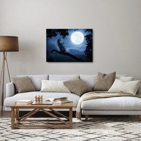 Sklenený obraz - Nočná sova (70x50 cm)