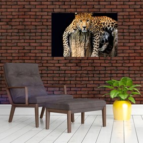 Obraz - Gepard (90x60 cm)