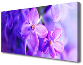 Obraz Canvas Fialové kvety príroda 120x60 cm