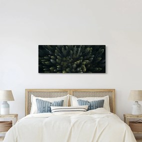 Obraz - Les (120x50 cm)