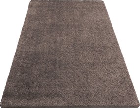 DY Hnedý protišmykový shaggy koberec Camel Rozmer: 160x220 cm