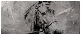 Obraz - Portrét koňa (120x50 cm)