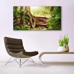 Obraz plexi Strom kmeň príroda les 120x60 cm