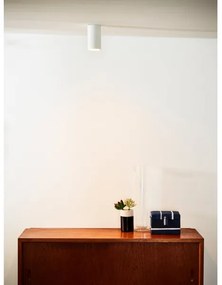 Lucide 09915/06/31 - LED Stmievateľné bodové svietidlo DELTO 1xGU10/5W/230V biela