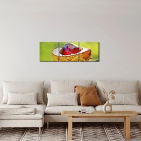 Obraz gaštanov (s hodinami) (90x30 cm)