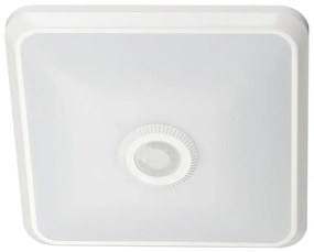 LED Stropné svietidlo so senzorom LED/12W/230V 3000/4000/6000K biela