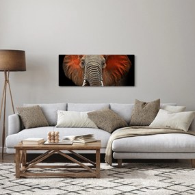 Obraz - Slony z Tsavo (120x50 cm)