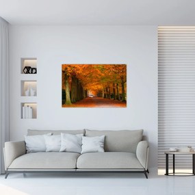 Obraz - Jeseň Alej stromov (90x60 cm)