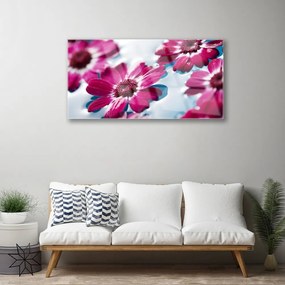 Obraz plexi Kvety na vode príroda 100x50 cm