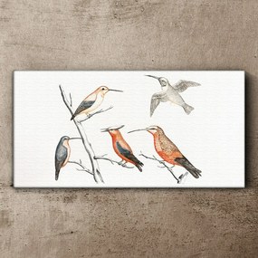 Obraz na plátne Kreslenie zvierat vtákov