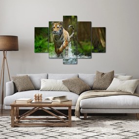 Obraz bežiaceho tigra (150x105 cm)