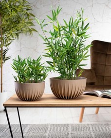Kvetináč PRUHOVANÝ EKO 30 cm svetlohnedý