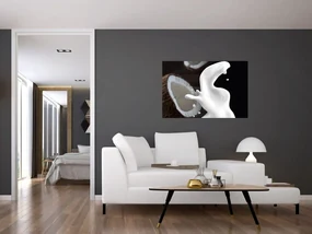 Obraz - kokosové mlieko (90x60 cm)