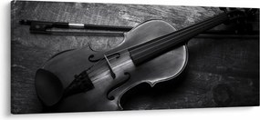 Obraz - Viola (120x50 cm)