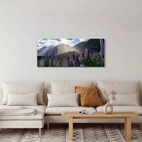 Obraz - Scenérie vlčích bôbov (120x50 cm)
