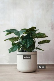 Kvetináč CHICO, sklolaminát, výška 42 cm, béžová