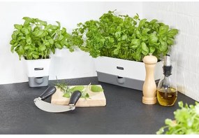 Cole&Mason - Mlynček na soľ CAPSTAN BEECH buk 20 cm