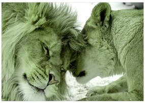 Artgeist Fototapeta - Lion Tenderness (Green) Veľkosť: 450x315, Verzia: Premium