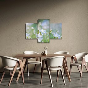 Obraz - Jemné kvety (90x60 cm)