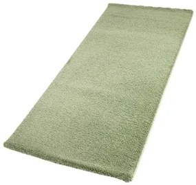 Koberce Breno Kusový koberec DOLCE VITA 01/AAA, zelená,67 x 110 cm