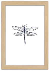 Gario Plagát Vážka nakreslená Farba rámu: Bez rámu, Rozmery: 20 x 30 cm