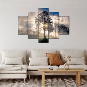 Obraz stromu v hmle (150x105 cm)