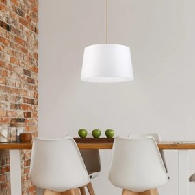 Závesný luster na lanku AIDA 1xE27/60W/230V pr. 35 cm dub/hnedá/biela